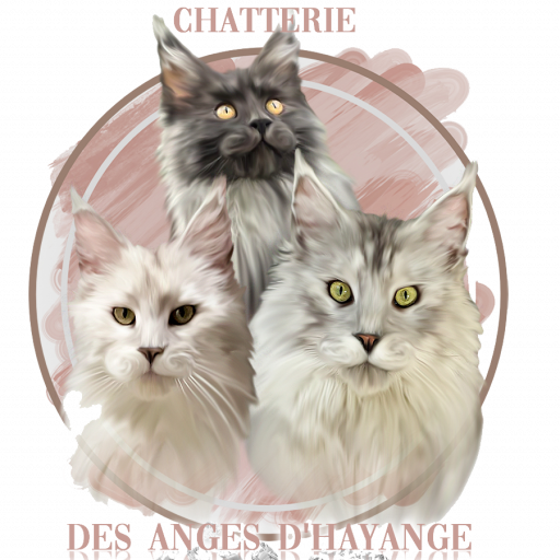 Chatterie des Anges